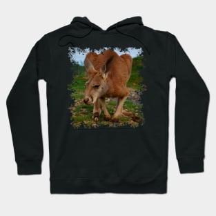 Kangaroo Hoodie